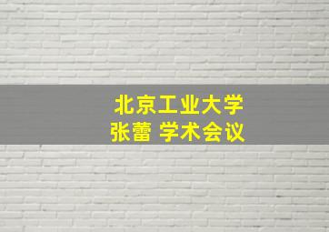 北京工业大学张蕾 学术会议